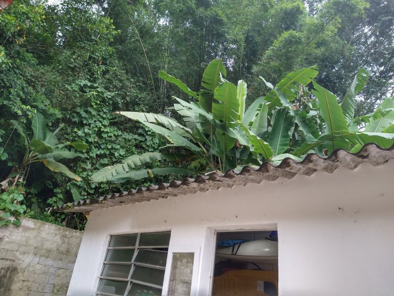 Chácara à venda Centro com 2400m² e 2 quartos por R$ 460.000 - 1570539174-img-20220422-110025021-hdr.jpg