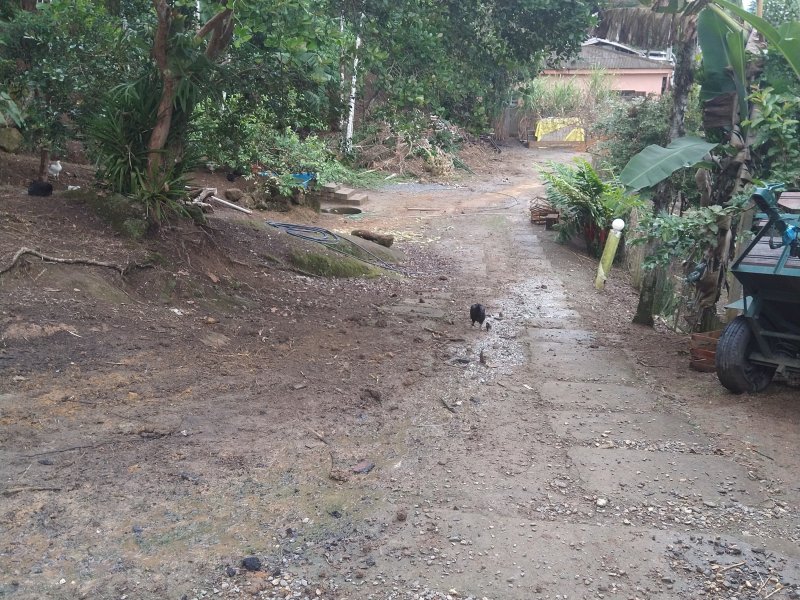 Chácara à venda Centro com 2400m² e 2 quartos por R$ 460.000 - 1740049669-img-20220422-110917274.jpg