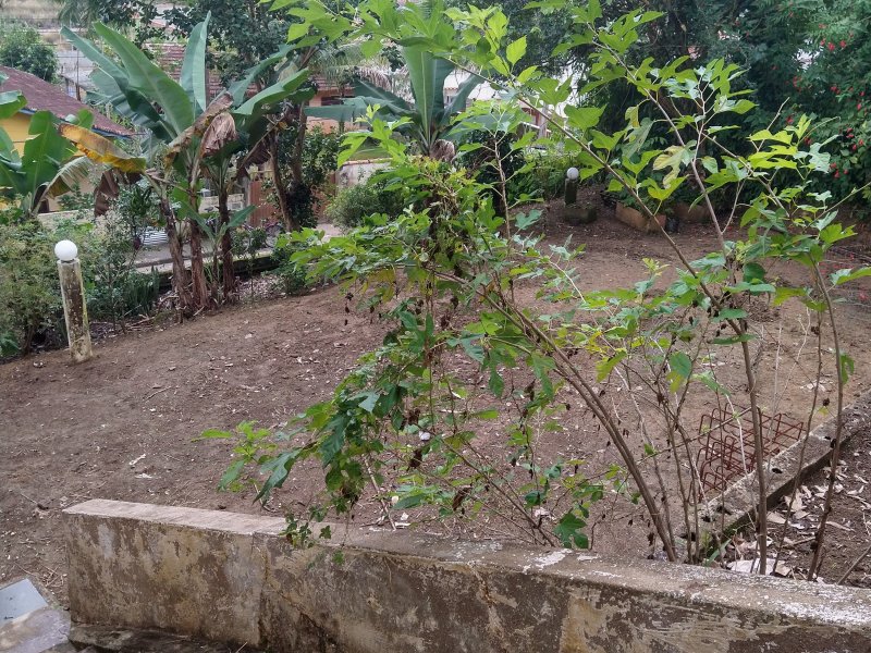 Chácara à venda Centro com 2400m² e 2 quartos por R$ 460.000 - 1755796883-img-20220422-105707594-hdr.jpg