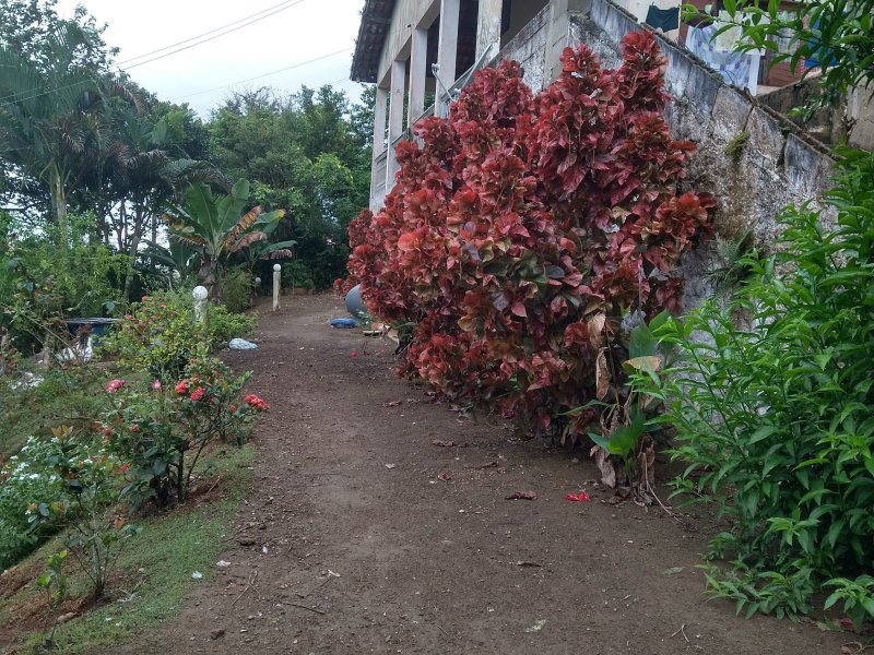 Chácara à venda Centro com 2400m² e 2 quartos por R$ 460.000 - 1889167169-img-20220422-110926120-hdr.jpg