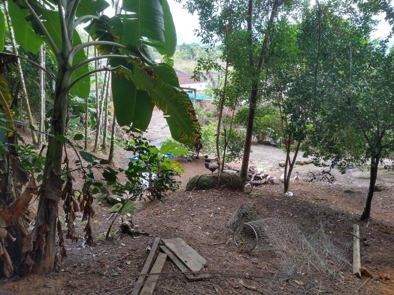 Chácara à venda Centro com 2400m² e 2 quartos por R$ 460.000 - 1939828851-img-20220422-110319449-hdr.jpg