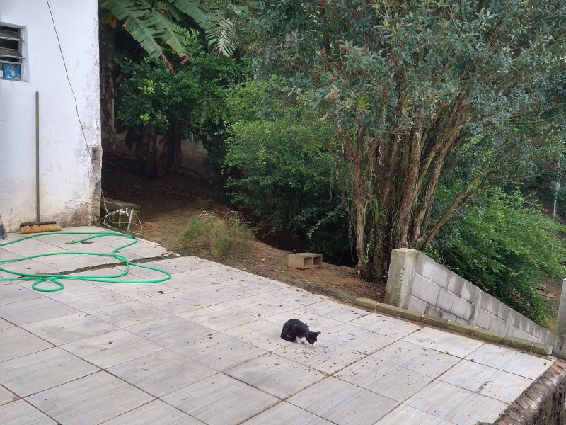 Chácara à venda Centro com 2400m² e 2 quartos por R$ 460.000 - 1977315025-img-20220422-105756829-hdr.jpg