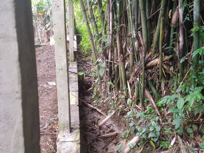 Chácara à venda Centro com 2400m² e 2 quartos por R$ 460.000 - 2081210194-img-20220422-110159657.jpg