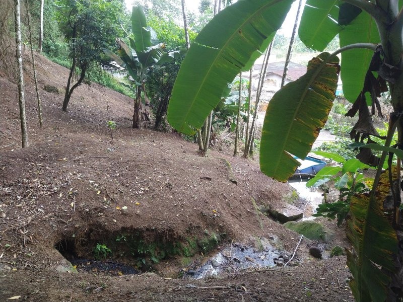 Chácara à venda Centro com 2400m² e 2 quartos por R$ 460.000 - 455070279-img-20220422-110335644.jpg