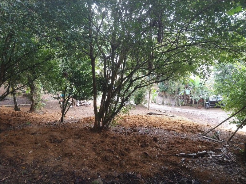 Chácara à venda Centro com 2400m² e 2 quartos por R$ 460.000 - 675437122-img-20220422-110132679.jpg