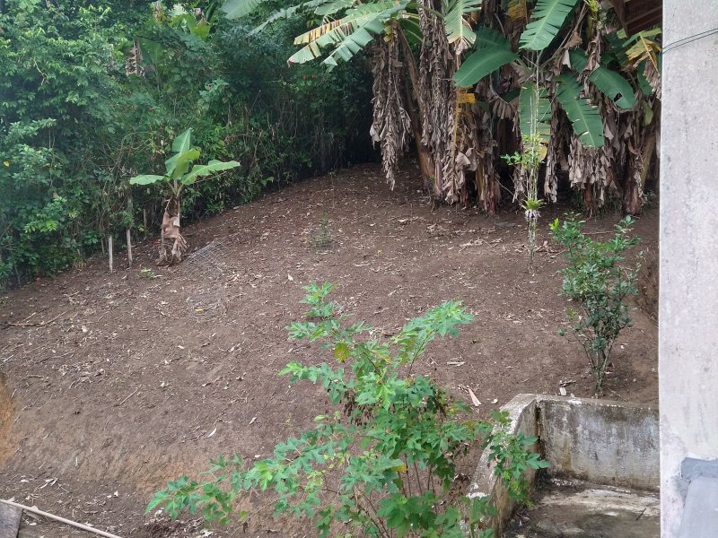Chácara à venda Centro com 2400m² e 2 quartos por R$ 460.000 - 757070846-img-20220422-105652503-hdr.jpg