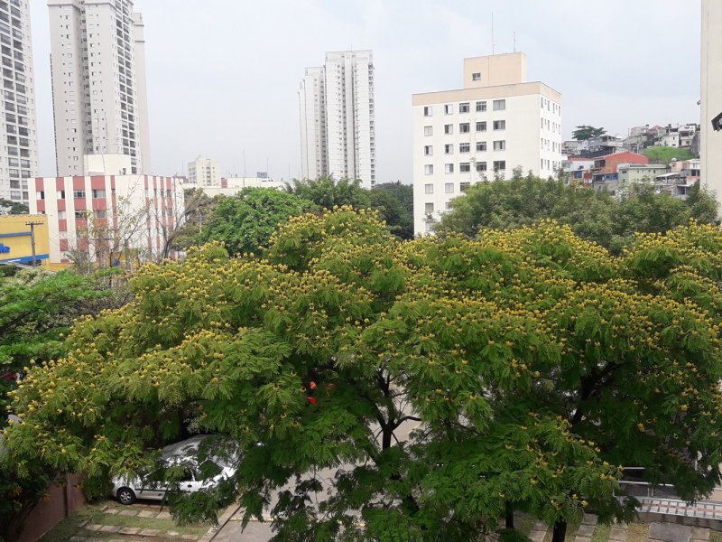 Apartamento à venda Lauzane Paulista com 52m² e 2 quartos por R$ 249.800 - 1151305733-20211004-114218-menor.jpg