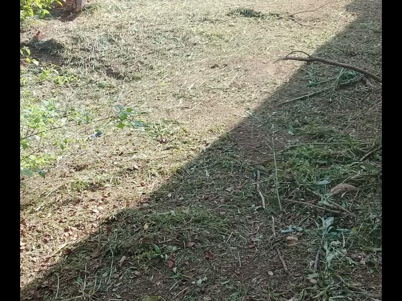 Terreno à venda Vila Lisboa com 3402m² e 1 quarto por R$ 180.000 - 1660402805-img-20210907-wa0011.jpg