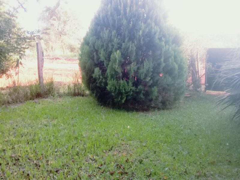 Chácara à venda Centro com 1000m² e 3 quartos por R$ 150.000 - 1263497320-whatsapp-image-2020-02-09-at-1.jpeg