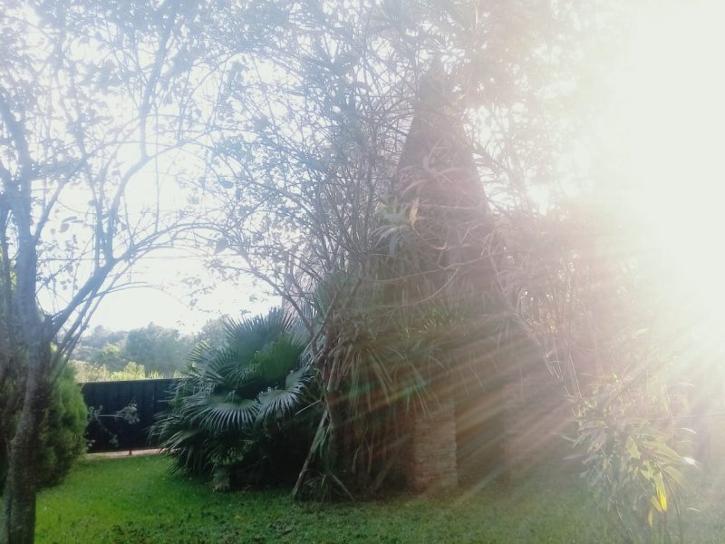 Chácara à venda Centro com 1000m² e 3 quartos por R$ 150.000 - 761769078-whatsapp-image-2020-02-09-at-1.jpeg