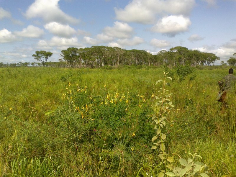 Fazenda à venda Popular Nova com 3999999m² e 1 quarto por R$ 8.000.000 - 845333683-04022013276.jpg