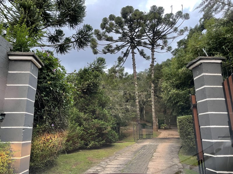 Terreno à venda Centro com 1971m² e 1 quarto por R$ 270.000 - 2141543970-img-3463.jpg