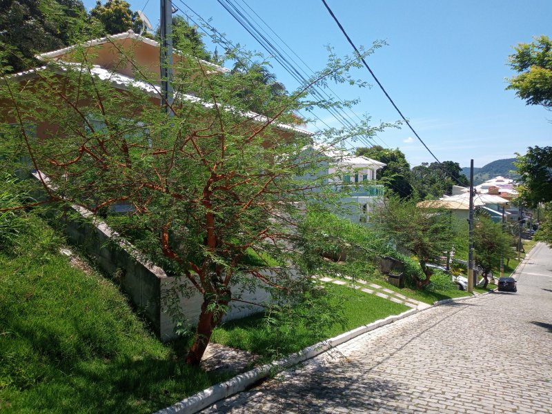 Terreno à venda Flamengo com 257m² e 1 quarto por R$ 129.000 - 1352793130-10-foto-cond-perda-mata-marica.jpg