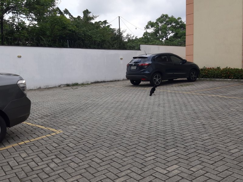 Casa de condomínio à venda Vila Arriete com 75m² e 2 quartos por R$ 430.000 - 1198128767-20200112-140647.jpg