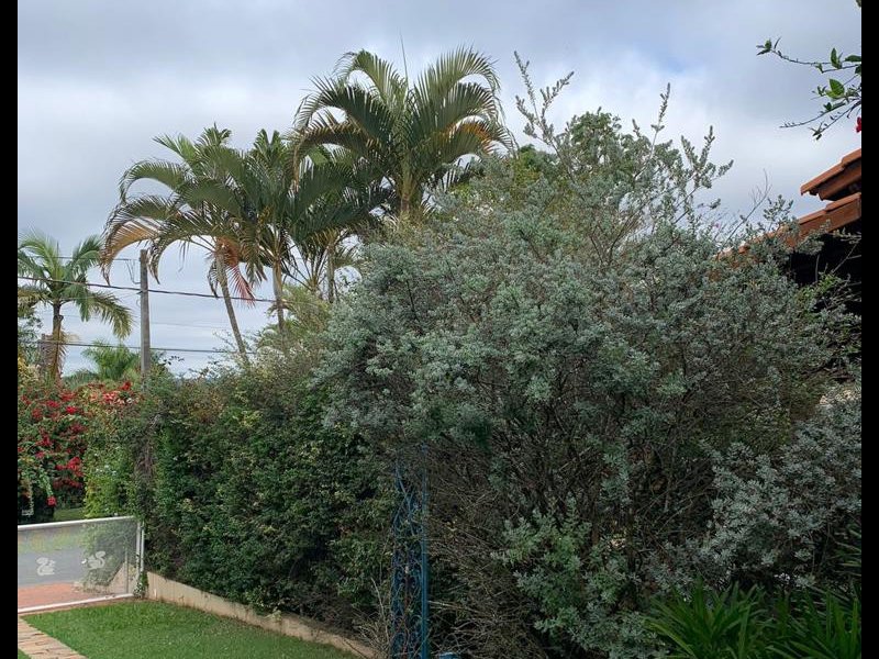 Casa de condomínio à venda Portal do Sabiá com 440m² e 5 quartos por R$ 1.499.999 - 101347245-jardim-v.jpeg