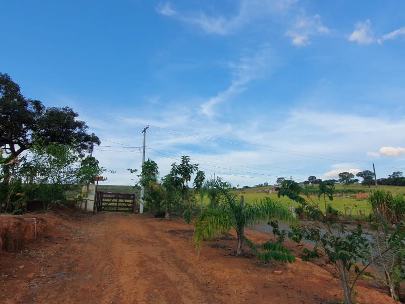 Terreno à venda Centro com 4400m² e 1 quarto por R$ 850.000 - 1277759677-6039738a-aba1-4077-b59b-637d5e356c81.jpeg