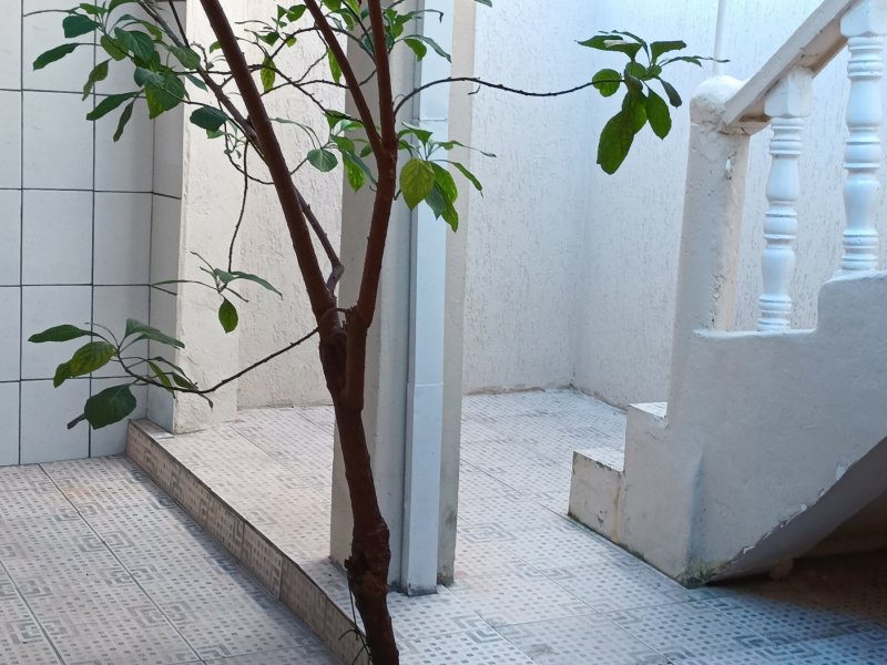 Casa à venda Parque Jaraguá com 250m² e 5 quartos por R$ 360.000 - 1972552670-img-20220517-161256273.jpg