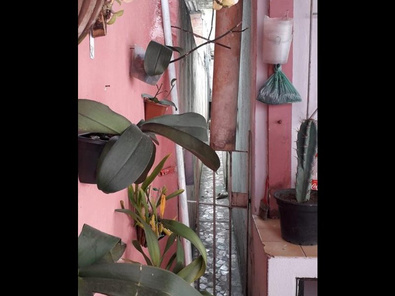 Casa à venda Jardim Clementino com 92m² e 2 quartos por R$ 370.000 - 2078677205-img-20220521-wa0020.jpg