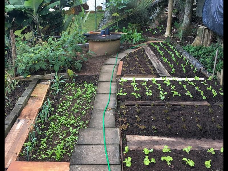 Casa à venda Parque Petrópolis com 285m² e 4 quartos por R$ 1.300.000 - 1194629598-whatsapp-image-2022-05-10-at-19.jpeg