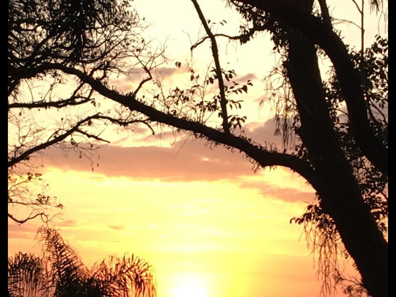 Casa à venda Parque Petrópolis com 285m² e 4 quartos por R$ 1.300.000 - 1201124518-whatsapp-image-2022-05-10-at-19.jpeg