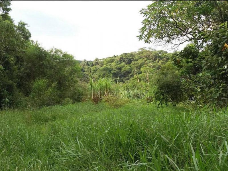 Terreno à venda Capuava com 6733m² e 1 quarto por R$ 450.000 - 101735890-foto-8.jpeg