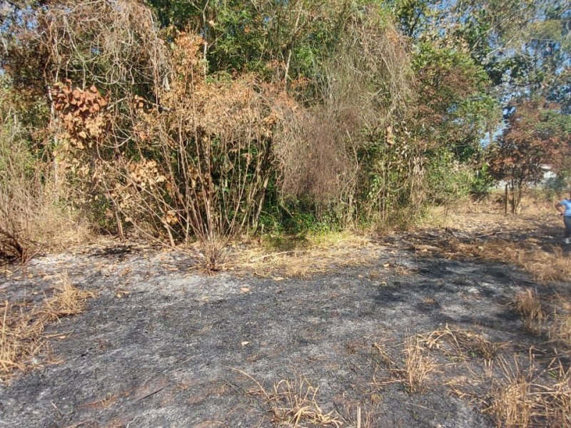 Terreno à venda Capuava com 6733m² e 1 quarto por R$ 450.000 - 1122232449-foto-3.jpeg