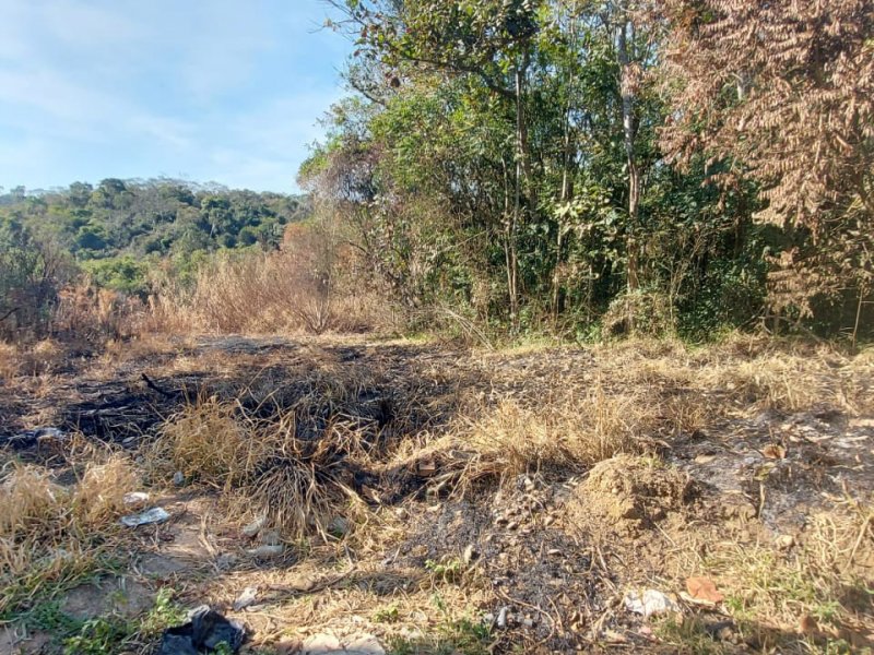 Terreno à venda Capuava com 6733m² e 1 quarto por R$ 450.000 - 1283081789-foto-5.jpeg
