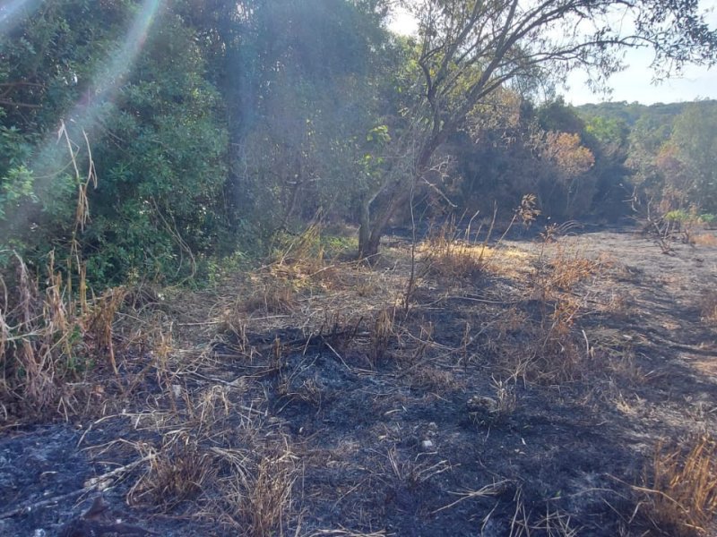Terreno à venda Capuava com 6733m² e 1 quarto por R$ 450.000 - 1328376842-foto-1.jpeg
