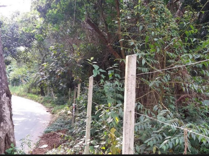 Terreno à venda Capuava com 6733m² e 1 quarto por R$ 450.000 - 2008162503-foto-9.jpeg
