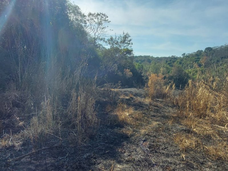 Terreno à venda Capuava com 6733m² e 1 quarto por R$ 450.000 - 790755933-foto-6.jpeg