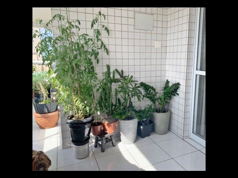 Apartamento à venda Guilhermina com 94m² e 2 quartos por R$ 430.000 - 1577035781-photo-2022-04-28-09-36-11-2.jpg