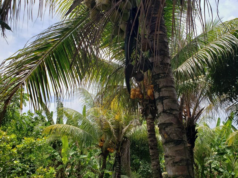 Terreno à venda Várzea com 900m² e 1 quarto por R$ 600.000 - 1153117449-20220303-120238.jpg