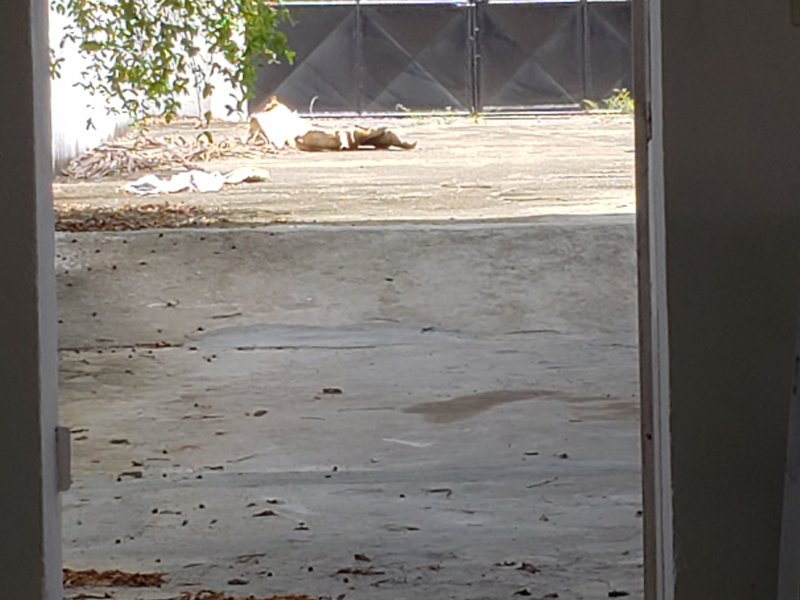 Terreno à venda Várzea com 900m² e 1 quarto por R$ 600.000 - 1811959584-20220303-120124.jpg