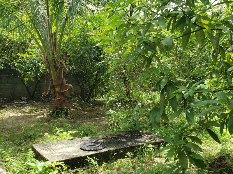 Terreno à venda Várzea com 900m² e 1 quarto por R$ 600.000 - 269630109-20220303-120233.jpg