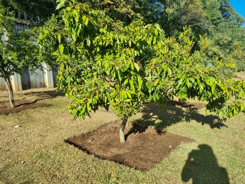 Casa de condomínio à venda Jardim do Paço com 189m² e 3 quartos por R$ 1.280.000 - 1309275608-20220527-084359.jpg