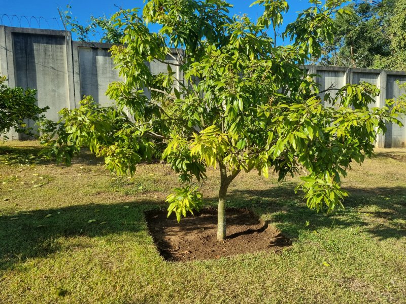 Casa de condomínio à venda Jardim do Paço com 189m² e 3 quartos por R$ 1.280.000 - 1699692934-20220527-084500.jpg