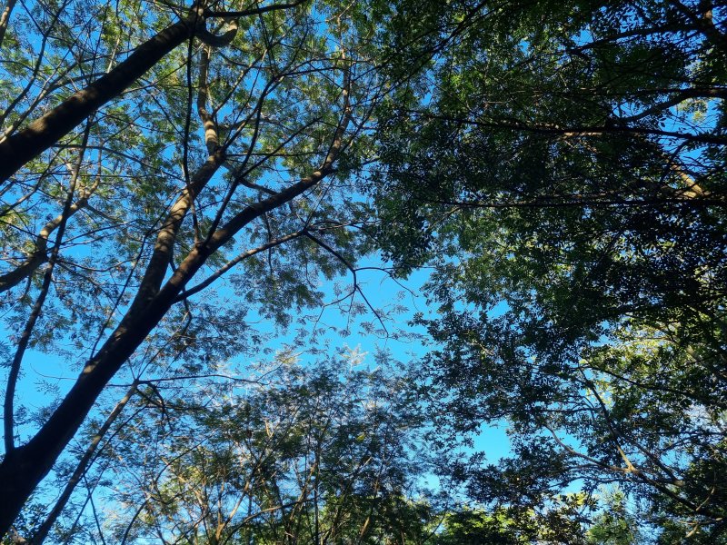 Casa de condomínio à venda Jardim do Paço com 189m² e 3 quartos por R$ 1.280.000 - 862422109-20220527-090005.jpg