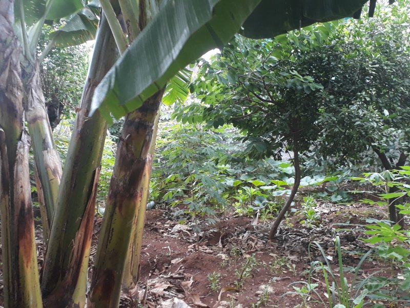 Casa à venda Jardim Previdência com 100m² e 3 quartos por R$ 760.000 - 1120662920-20220206-163203.jpg