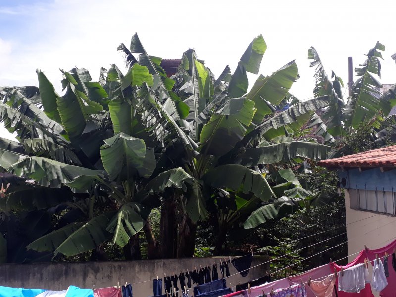 Casa à venda Jardim Previdência com 100m² e 3 quartos por R$ 760.000 - 129002035-20220205-104339.jpg