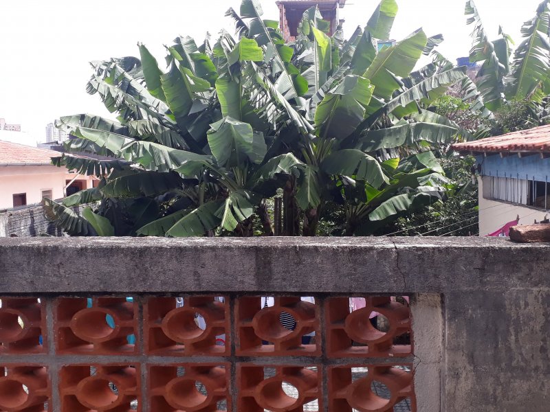 Casa à venda Jardim Previdência com 100m² e 3 quartos por R$ 760.000 - 290945740-20220205-104312.jpg