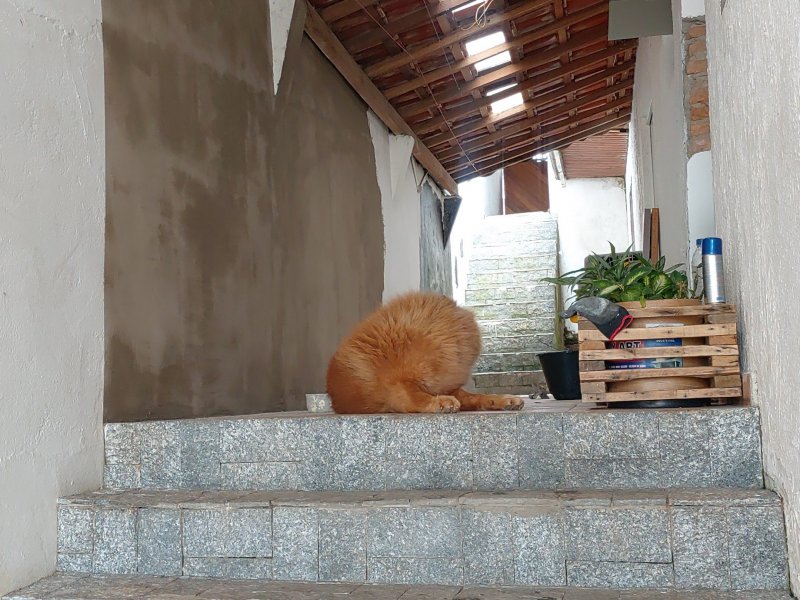 Casa à venda Morada dos Nobres com 228m² e 2 quartos por R$ 300.000 - 1105664729-img-20220203-wa0012.jpg