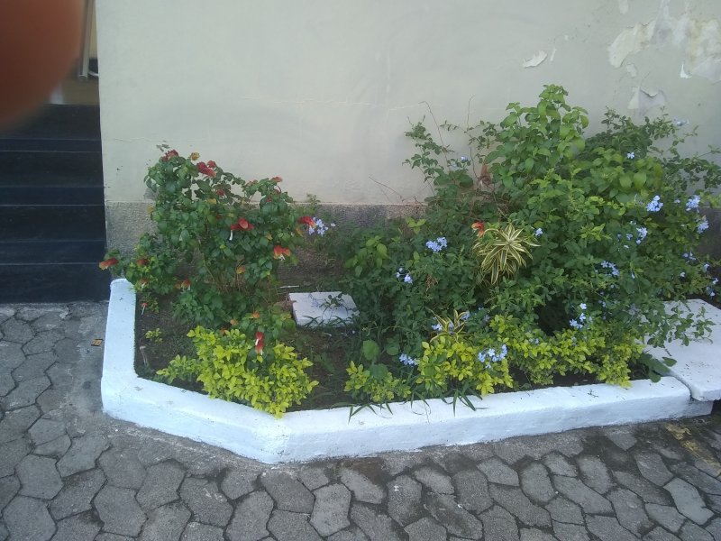 Apartamento à venda santa ines  com 55m² e 2 quartos por R$ 168.000 - 519179675-img-20220528-135540558.jpg