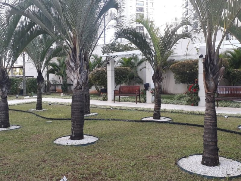 Apartamento à venda Vila Suzana com 70m² e 2 quartos por R$ 450.000 - 1900068543-jardim.jpg
