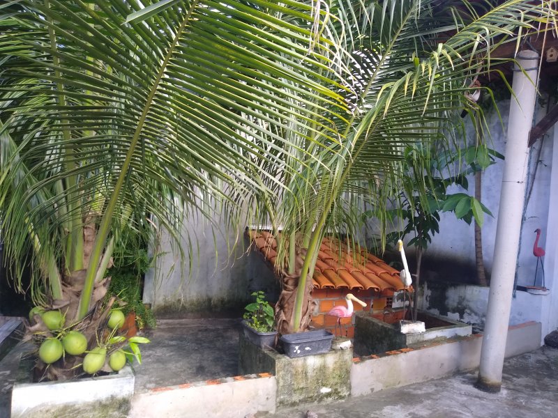 Casa à venda Centro com 180m² e 2 quartos por R$ 200.000 - 1815259613-img-20220410-164143136.jpg