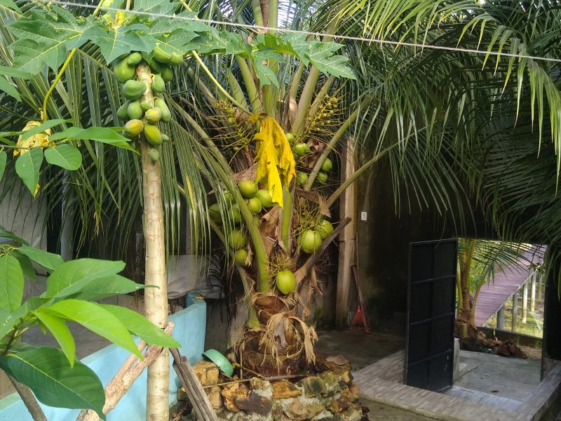 Casa à venda Centro com 180m² e 2 quartos por R$ 200.000 - 518199525-img-20220410-164121779.jpg