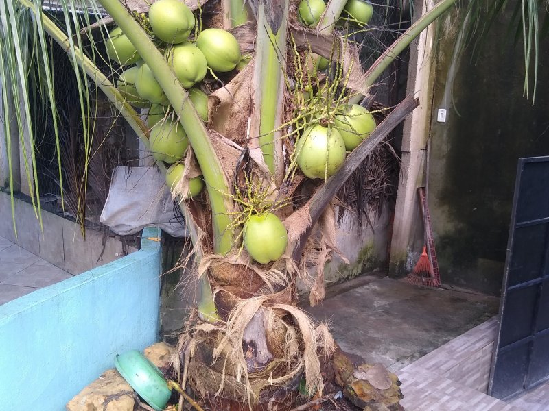 Casa à venda Centro com 180m² e 2 quartos por R$ 200.000 - 554425661-img-20220410-164152565.jpg