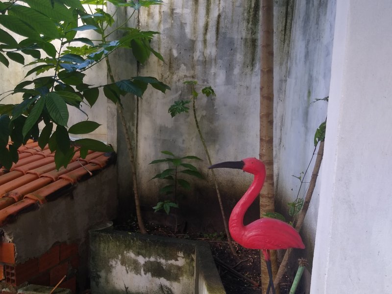 Casa à venda Centro com 180m² e 2 quartos por R$ 200.000 - 631103534-img-20220410-165730730.jpg