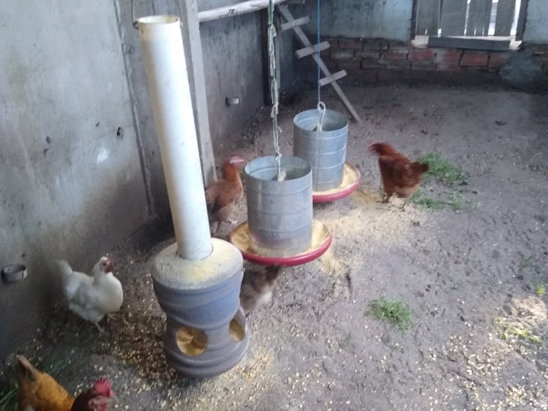 Casa à venda Centro com 180m² e 2 quartos por R$ 200.000 - 82632488-img-20220410-164743834.jpg