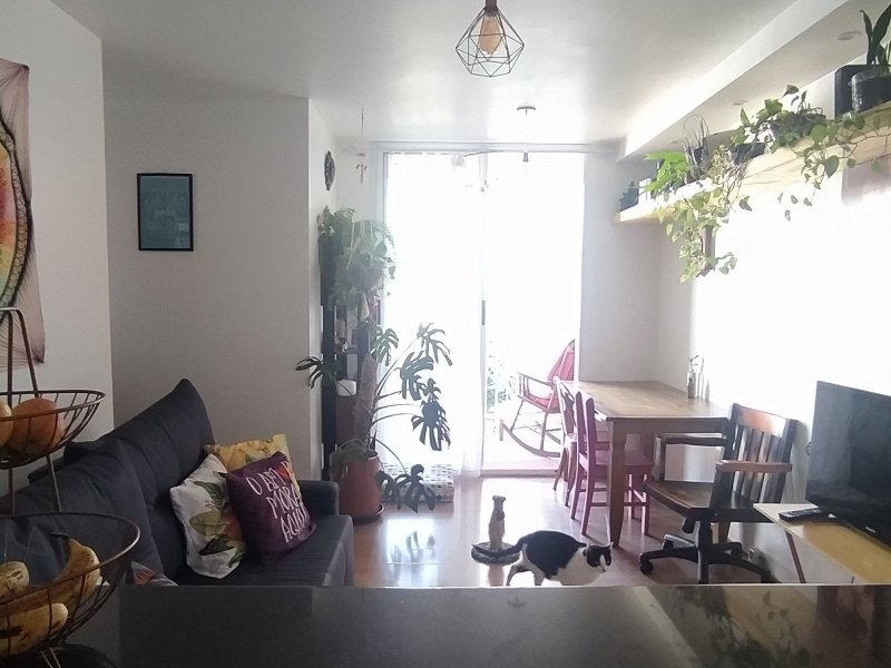 Apartamento à venda Bom Retiro com 63m² e 3 quartos por R$ 390.000 - 1380505576-img-20220513-104746.jpg