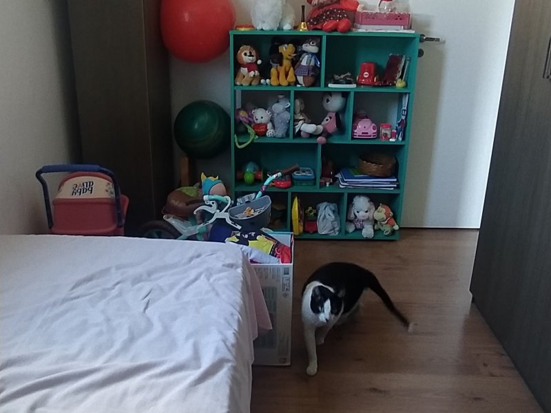 Apartamento à venda Bom Retiro com 63m² e 3 quartos por R$ 390.000 - 1815210883-img-20220513-105136.jpg